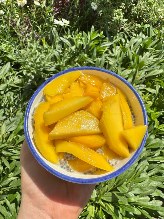 بودينج التشيا مع المانجو