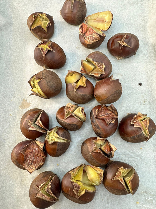 كستناء ع السريع 👌