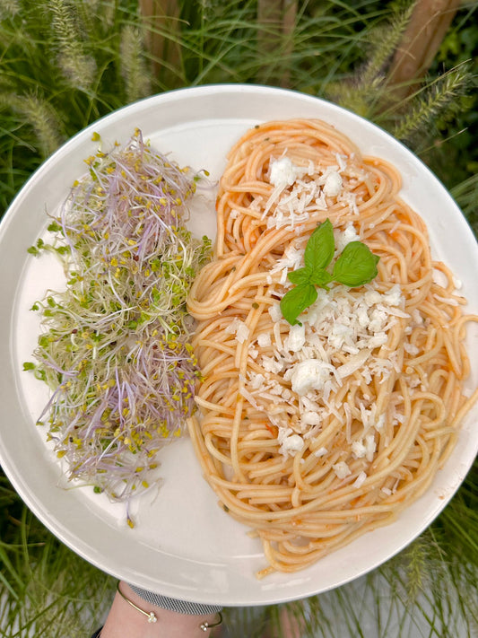 غداء بعد الشغل